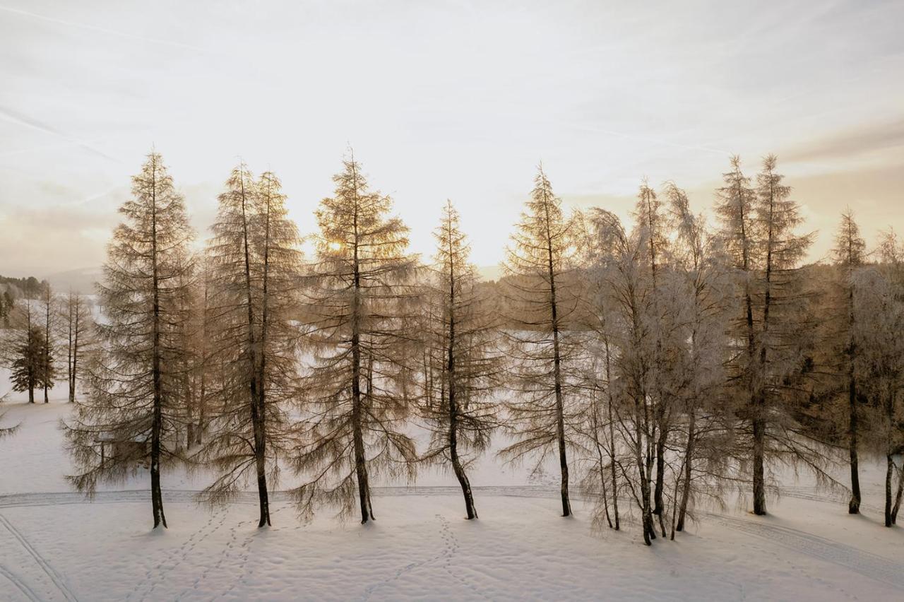 Waldhotel Kreuztanne Sayda Bagian luar foto